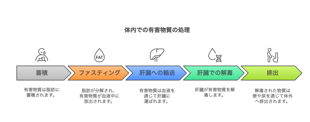 体内での有害物質の処理