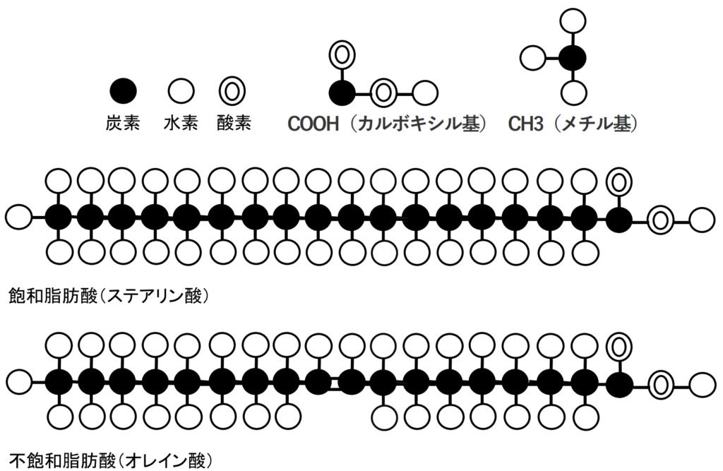 飽和脂肪酸と不飽和脂肪酸の違い