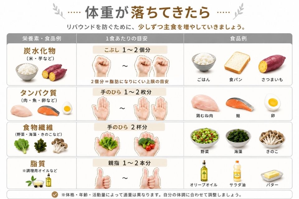 痩せる食事量の目安